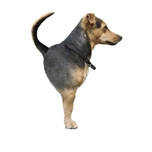 Стикер Imagine Dragons