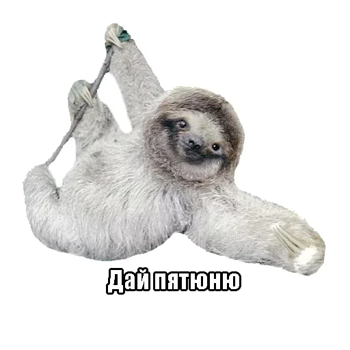 Стикер Imagine Dragons