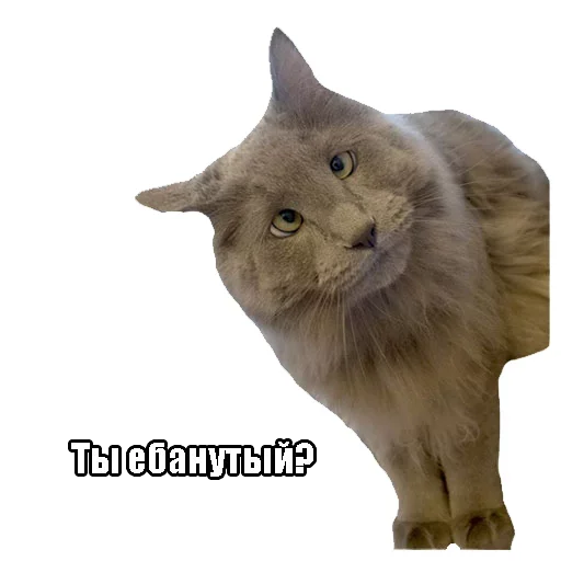 Стикер Imagine Dragons