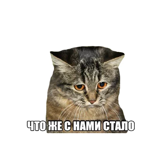 Стикер Imagine Dragons