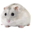 Эмодзи 🐹 ℍ𝕒𝕞𝕤𝕥𝕖𝕣𝕤: 🐹