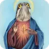 😇