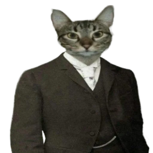 Стикер Animals