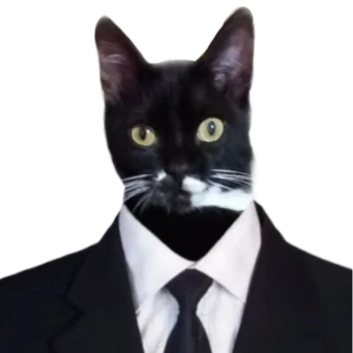 Стикер Animals