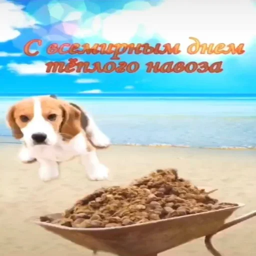 Стикер С днем говна