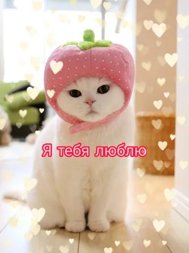 Стикер Няшные Пикчи