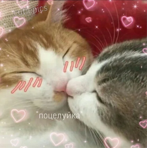 Стикер Няшные Пикчи