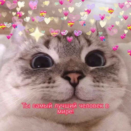 Стикер Няшные Пикчи