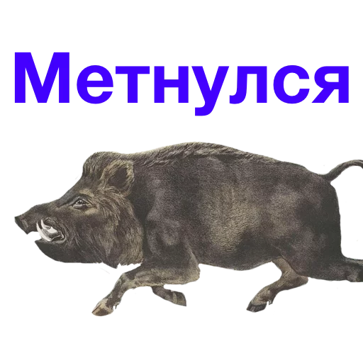 Стикер Kabanchikom