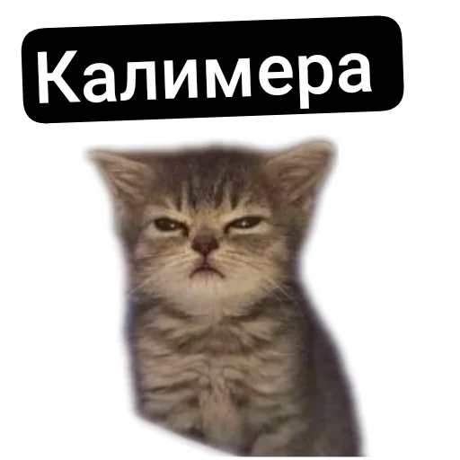 Стикер Kalimera