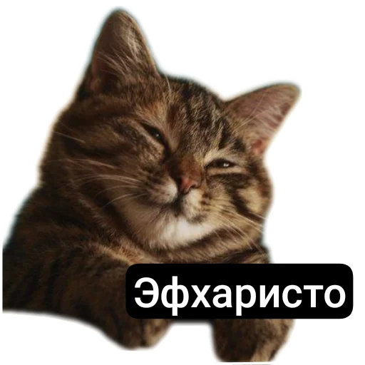 Стикер Kalimera