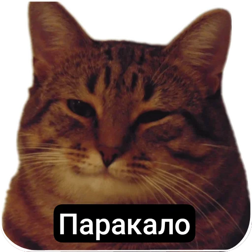 Стикер Kalimera