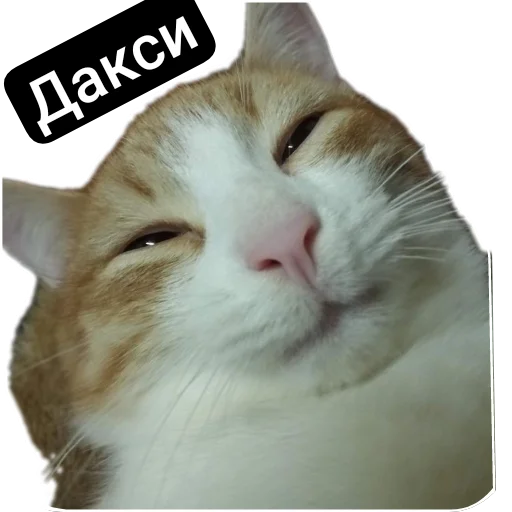 Стикер Kalimera