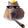 Эмодзи 🐹 Capybara 🐹