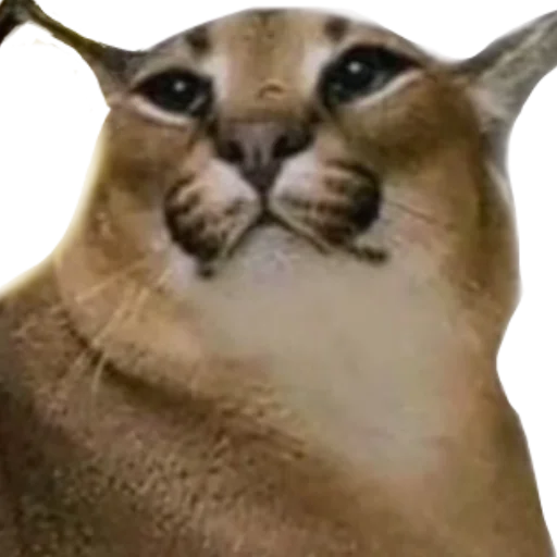 Стикер Шлёпанцы