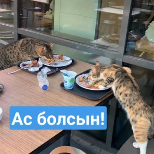 Стикер Бірінші пак