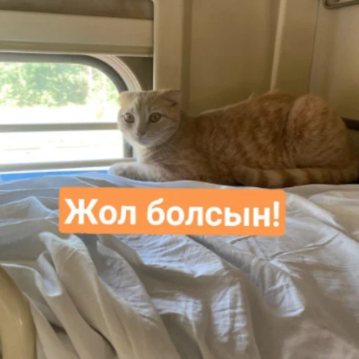 Стикер Бірінші пак