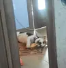 🤪