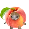 Эмодзи Kitten Fruits Vegetables