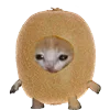 Эмодзи Kitten Fruits Vegetables