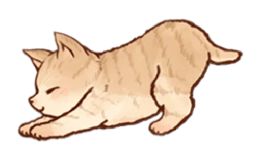 Стикер Kitten daily 🐈