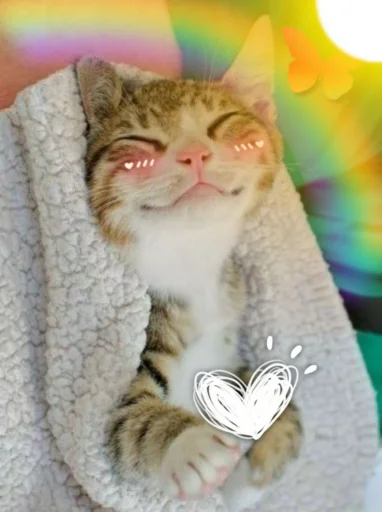 Стикер Kittens🐾Clau