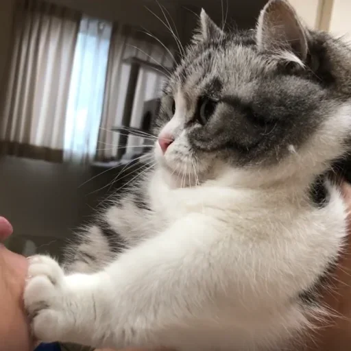 Стикер Будни Комару