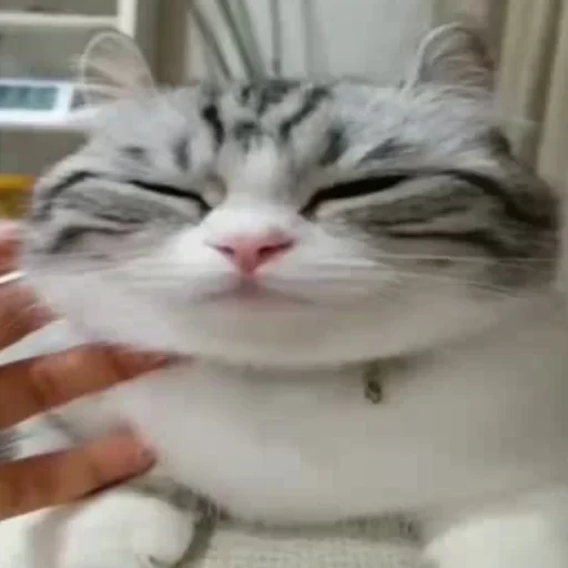 Стикер Будни Комару