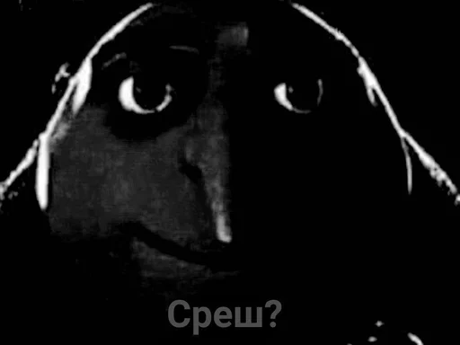 Стикер Koooook