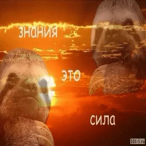 Стикер Коробка для Долбоебов