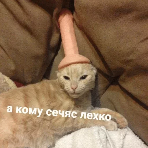 Стикер Коробка для Долбоебов