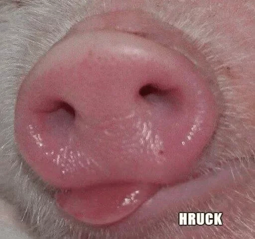 Стикер Коробка для Долбоебов