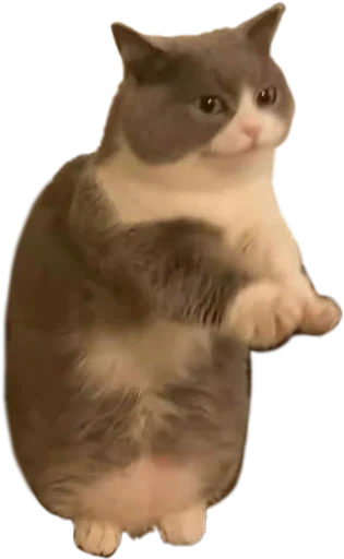 Стикер Китятка