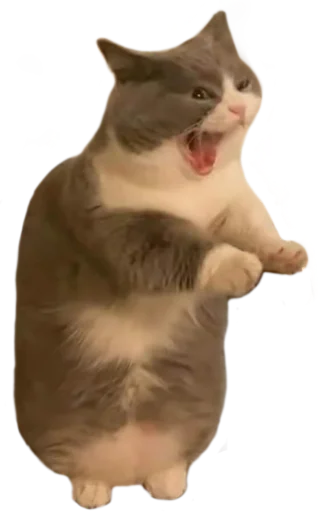 Стикер Китятка