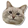 Стикер Котончик