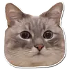 Стикер Котончик