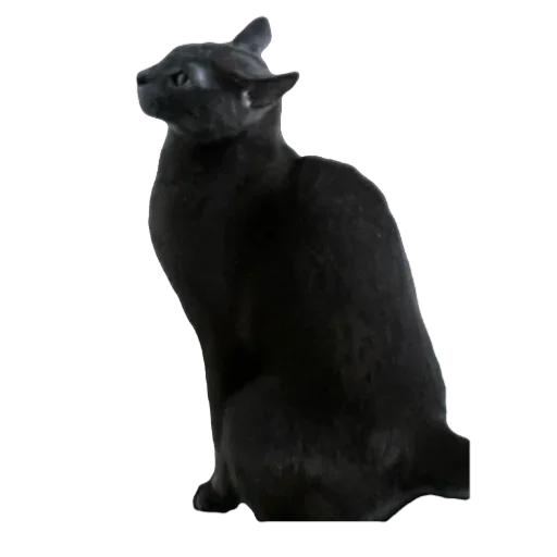 Стикер Котские коты