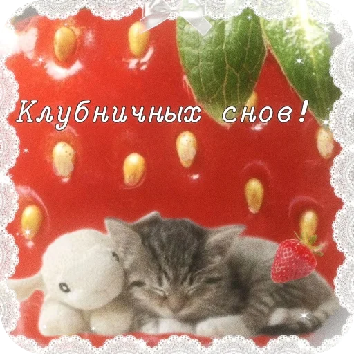 Стикер Котячие открытки