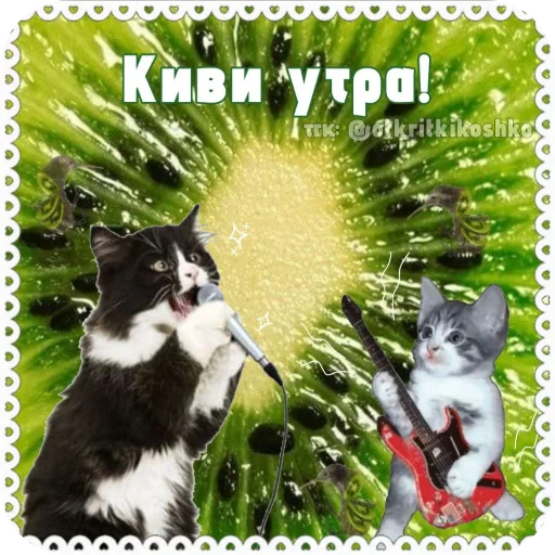 Стикер Котячие открытки