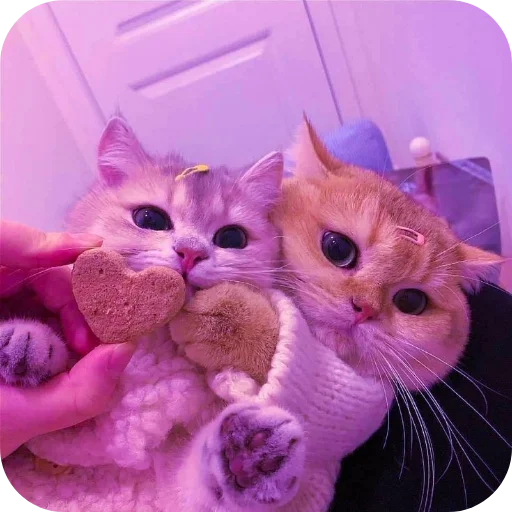 👍