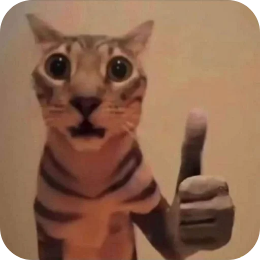 Стикер Котятки