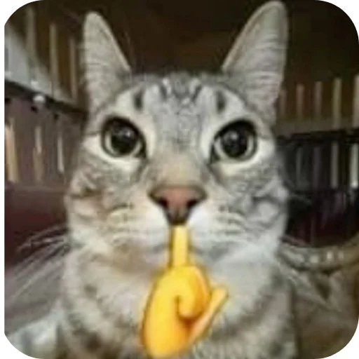 Стикер Котятки