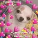 Стикер ❤❤❤