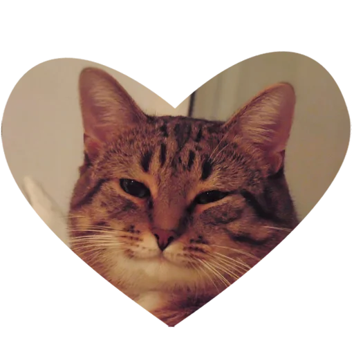 Стикер Культура работы