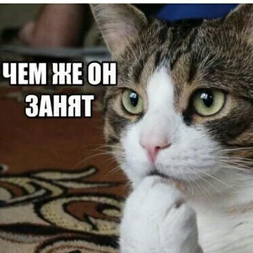 Стикер КотикЦмок2