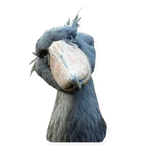 Стикер Китоглав