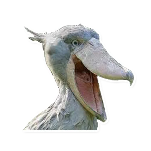 Стикер Китоглав