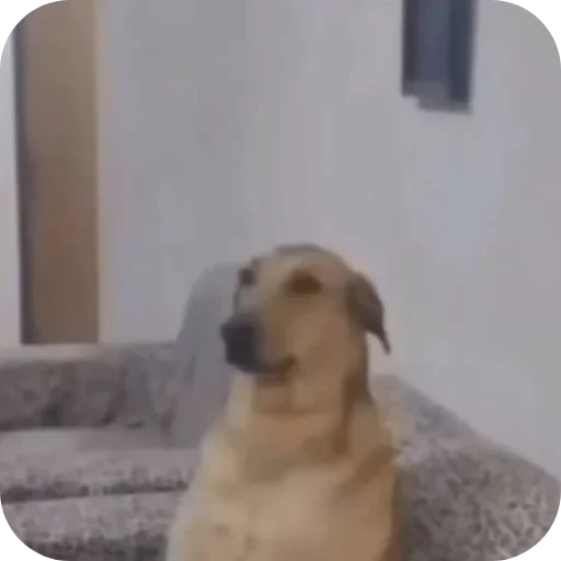 Стикер Ладно