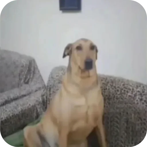 Стикер Ладно