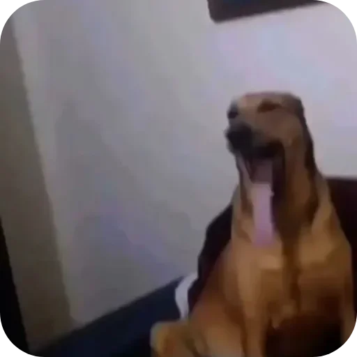 Стикер Ладно